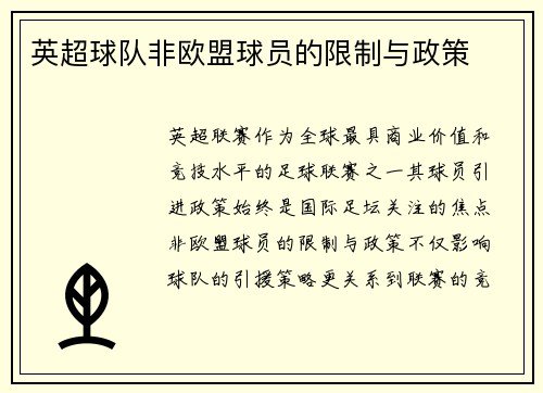 英超球队非欧盟球员的限制与政策