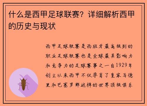 什么是西甲足球联赛？详细解析西甲的历史与现状